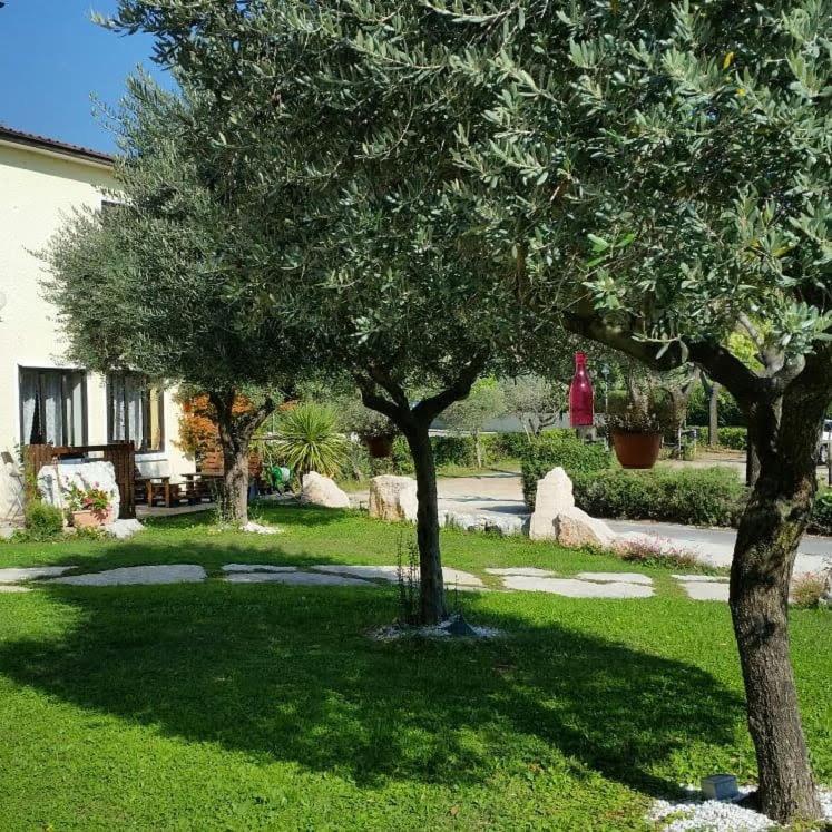 Alla Favorita Bassano del Grappa Exterior foto